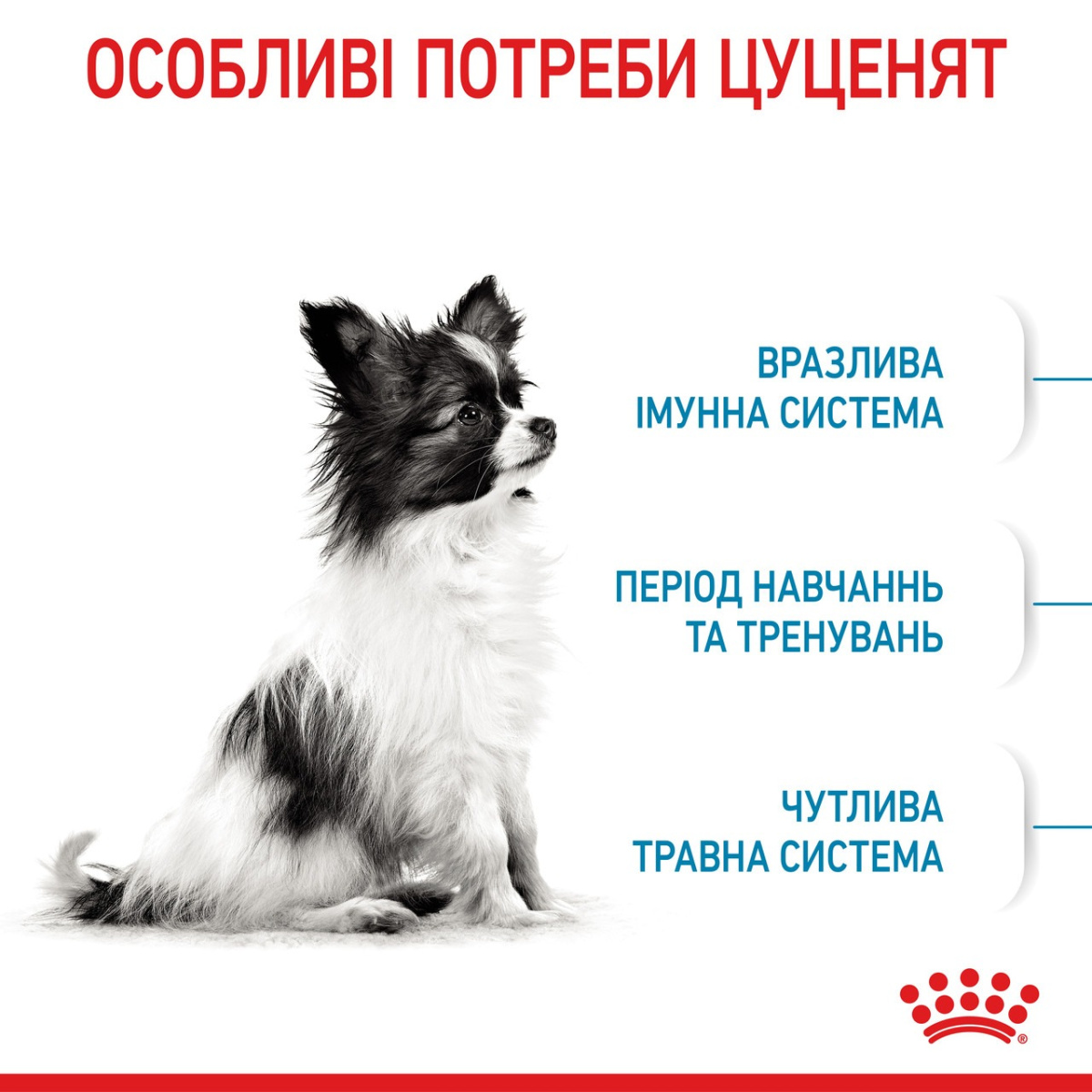 Сухий корм для цуценят мініатюрних порід віком від 2 до 10 місяців Royal Canin X-Small Puppy