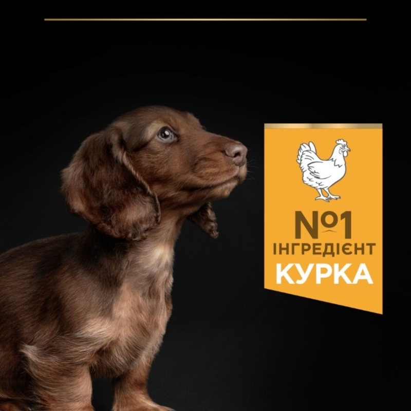 Сухой корм с курицей для здорового развития щенков маленьких пород Purina Pro Plan Small & Mini Healthy Start Puppy Chicken Сухой корм с курицей для здорового развития щенков маленьких пород Purina Pro Plan Small & Mini Healthy Start Puppy Chicken