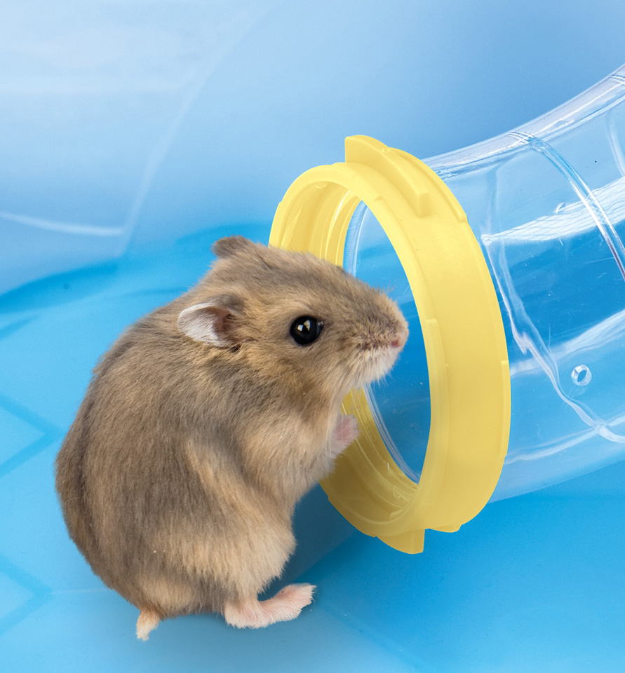 Двоповерхова клітина для хом'яка з тунелями та колесом для бігу Imac Fantasy