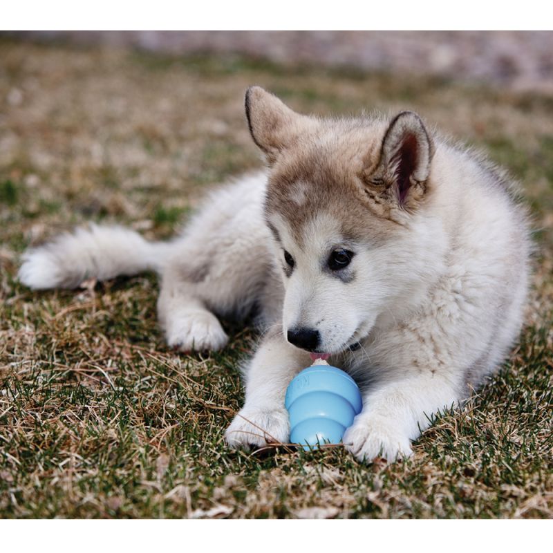 Іграшка для цуценят Конг Розвиваючий для ласощів KONG Puppy Ball Іграшка для цуценят Конг Розвиваючий для ласощів KONG Puppy Ball