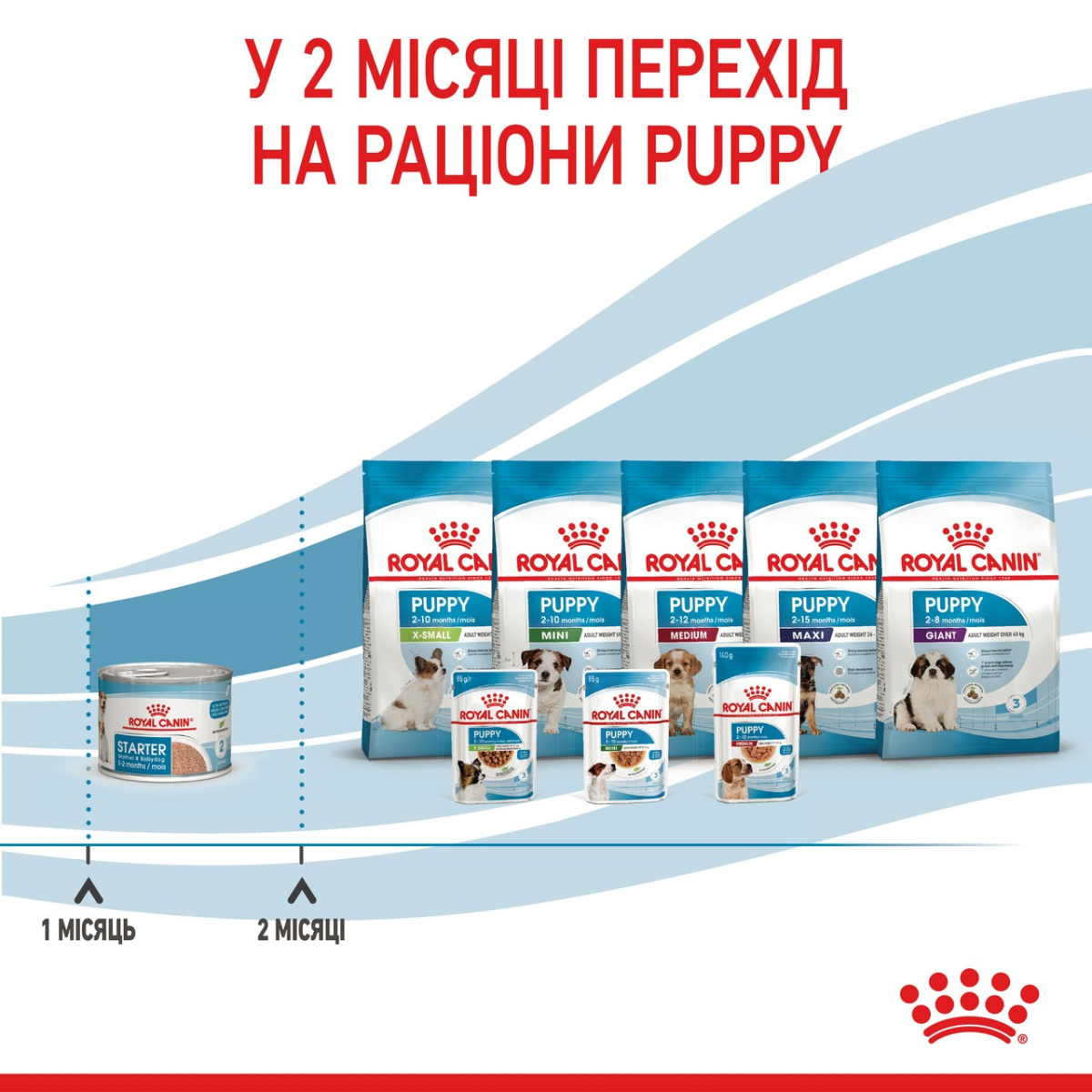 Консерва-мус для цуценят віком до 2 місяців та годуючих собак Royal Canin Starter Mother & Babydog Mousse Консерва-мус для цуценят віком до 2 місяців та годуючих собак Royal Canin Starter Mother & Babydog Mousse