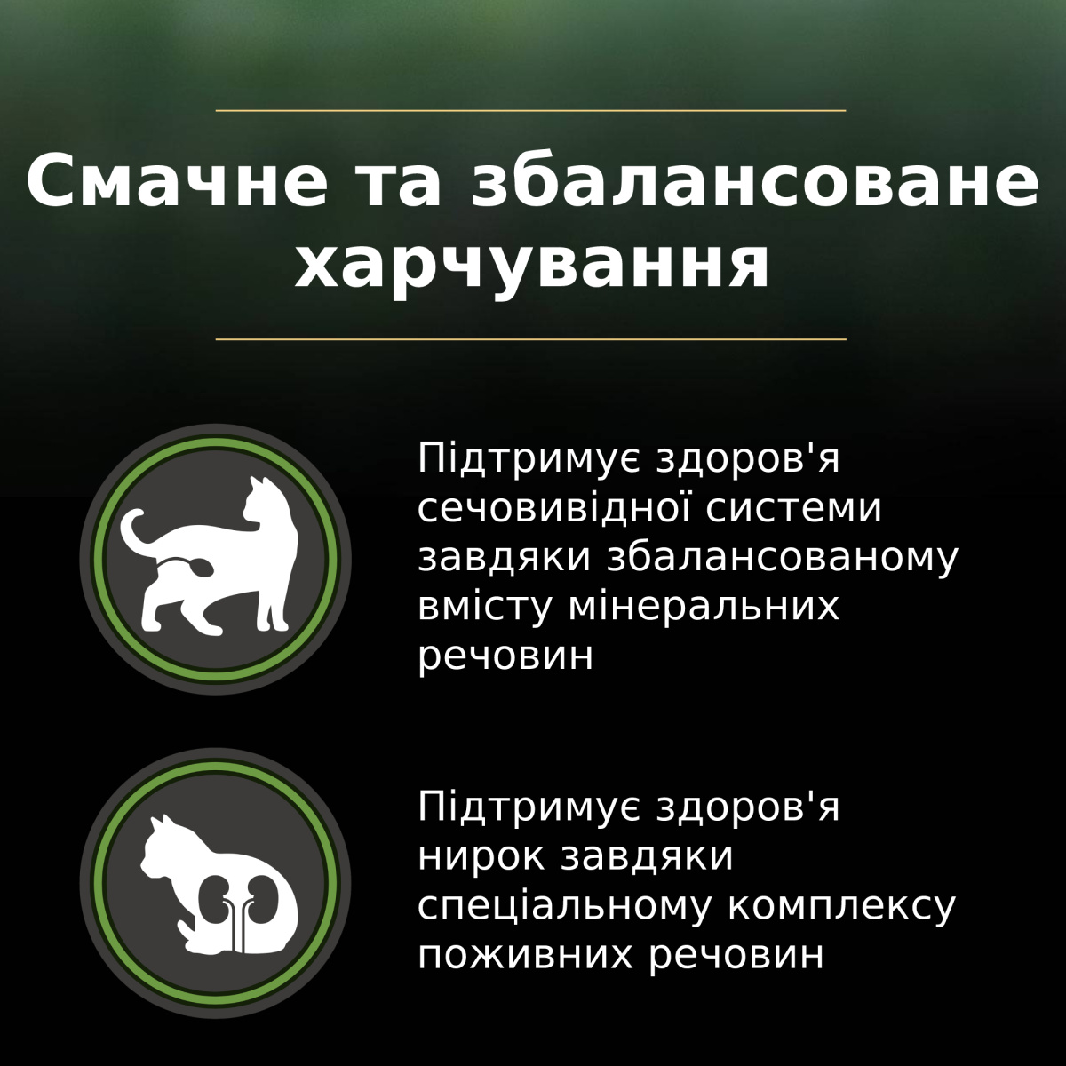 Сухий корм з індичкою для стерилізованих кішок, знижуючий рівень алергенів на шерсті Purina Pro Plan LiveClear Sterilised Adult 1+ Turkey