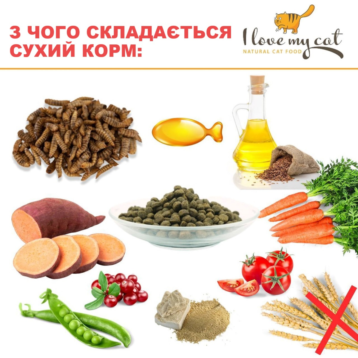 Беззерновий сухий корм холістик з білком комах для котів з чутливим травленням та алергією I love my cat Insects Беззерновий сухий корм холістик з білком комах для котів з чутливим травленням та алергією I love my cat Insects