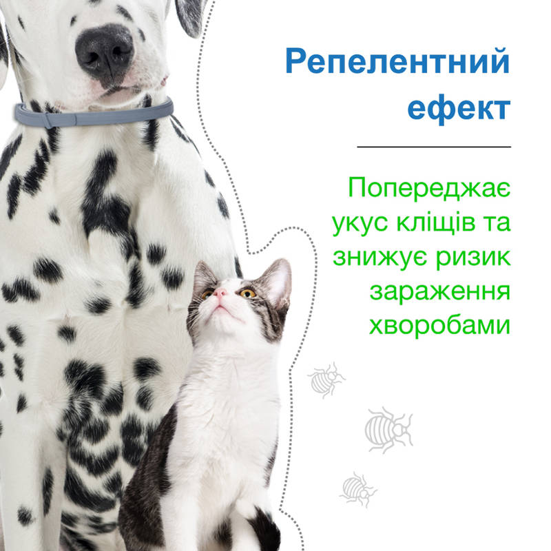 Протипаразитарний нашийник для собак та котів вагою до 8 кг від бліх, кліщів та волосоїдів Форесто Elanco Foresto Dogs & Cats
