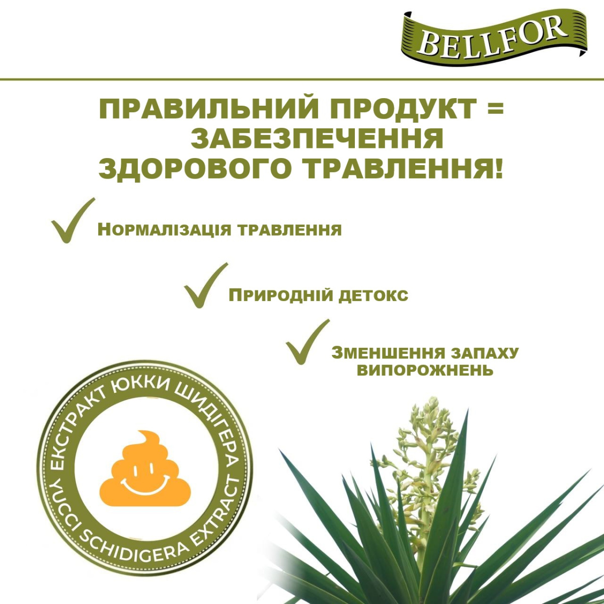 Беззерновой сухой корм для собак холистик холодного прессования с уткой Bellfor Wildsee-Schmaus