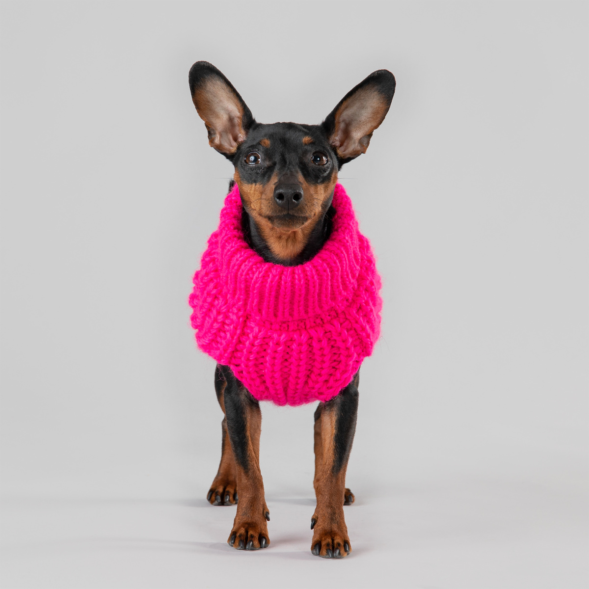 Вязаный розовый свитер ручной работы из овечьей шерсти для собак PAIKKA Knit Sweater Hot Pink Вязаный розовый свитер ручной работы из овечьей шерсти для собак PAIKKA Knit Sweater Hot Pink