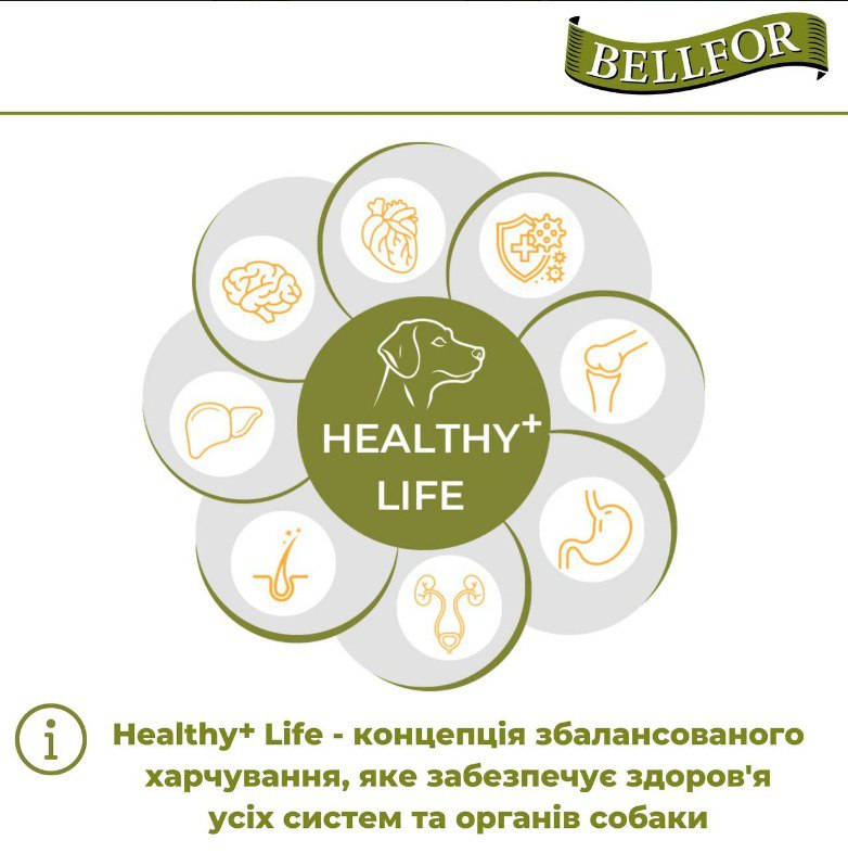 Беззернова монопротеїнова консерва для собак з м'ясом ягня Bellfor Heide-Menu Lamm