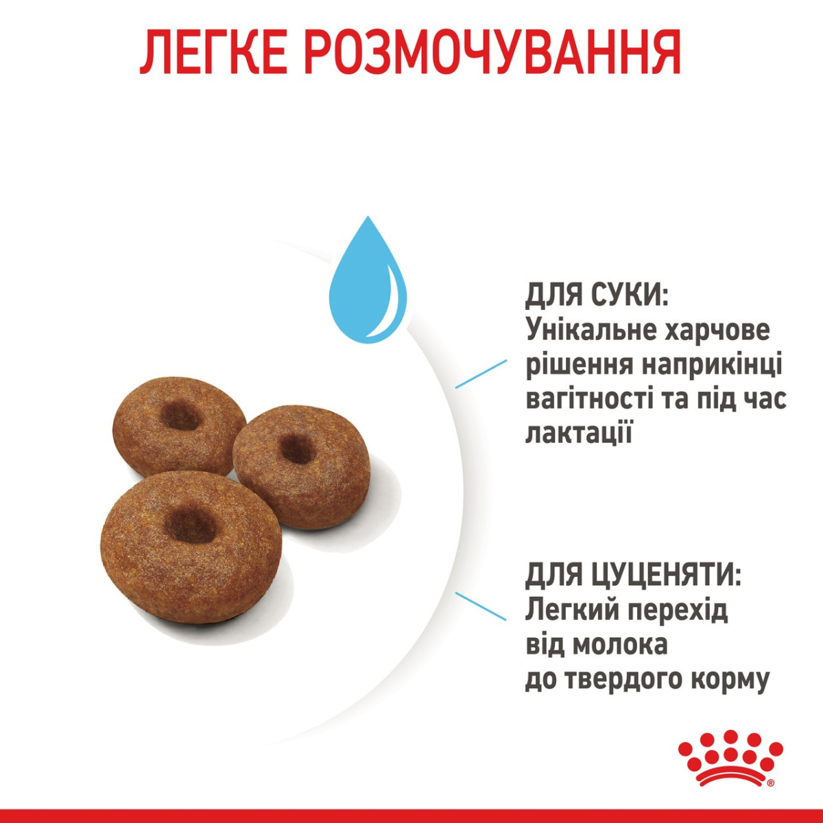 Сухой корм для щенков в возрасте до 2 месяцев и кормящих собак крупных пород Royal Canin Maxi Starter
