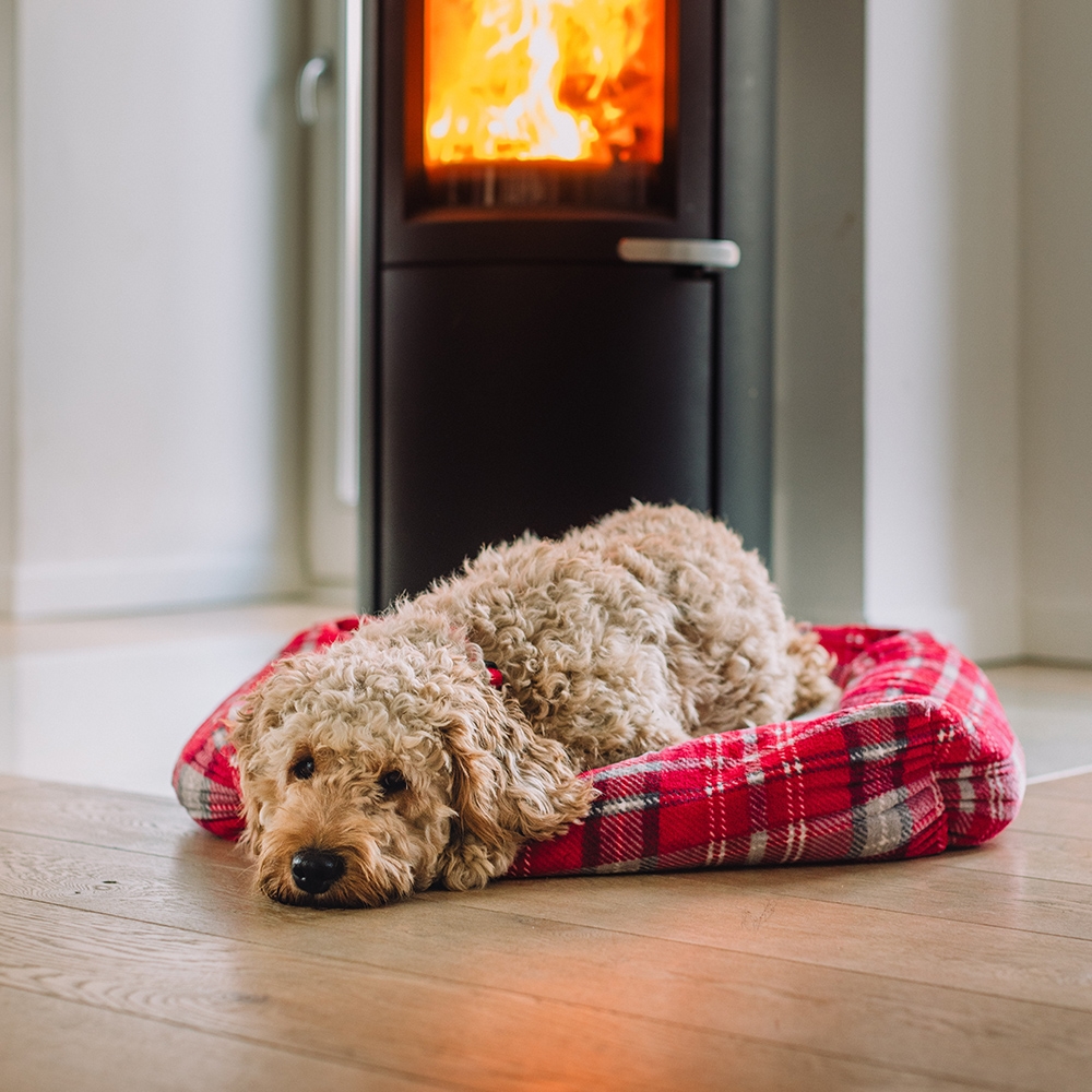 Антиковзка плюшева новорічна лежанка для собак Kareli Xmas Nobby