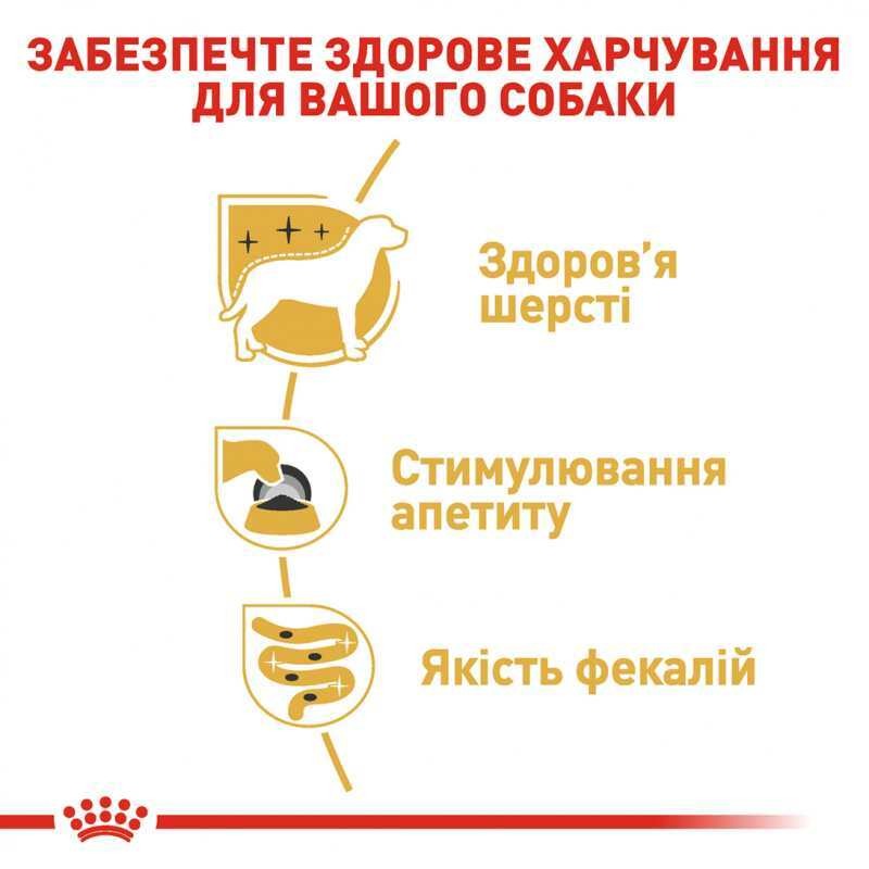 Вологий корм для собак породи Йоркширський Тер'єр віком від 10 місяців Royal Canin Yorkshire Terrier Adult