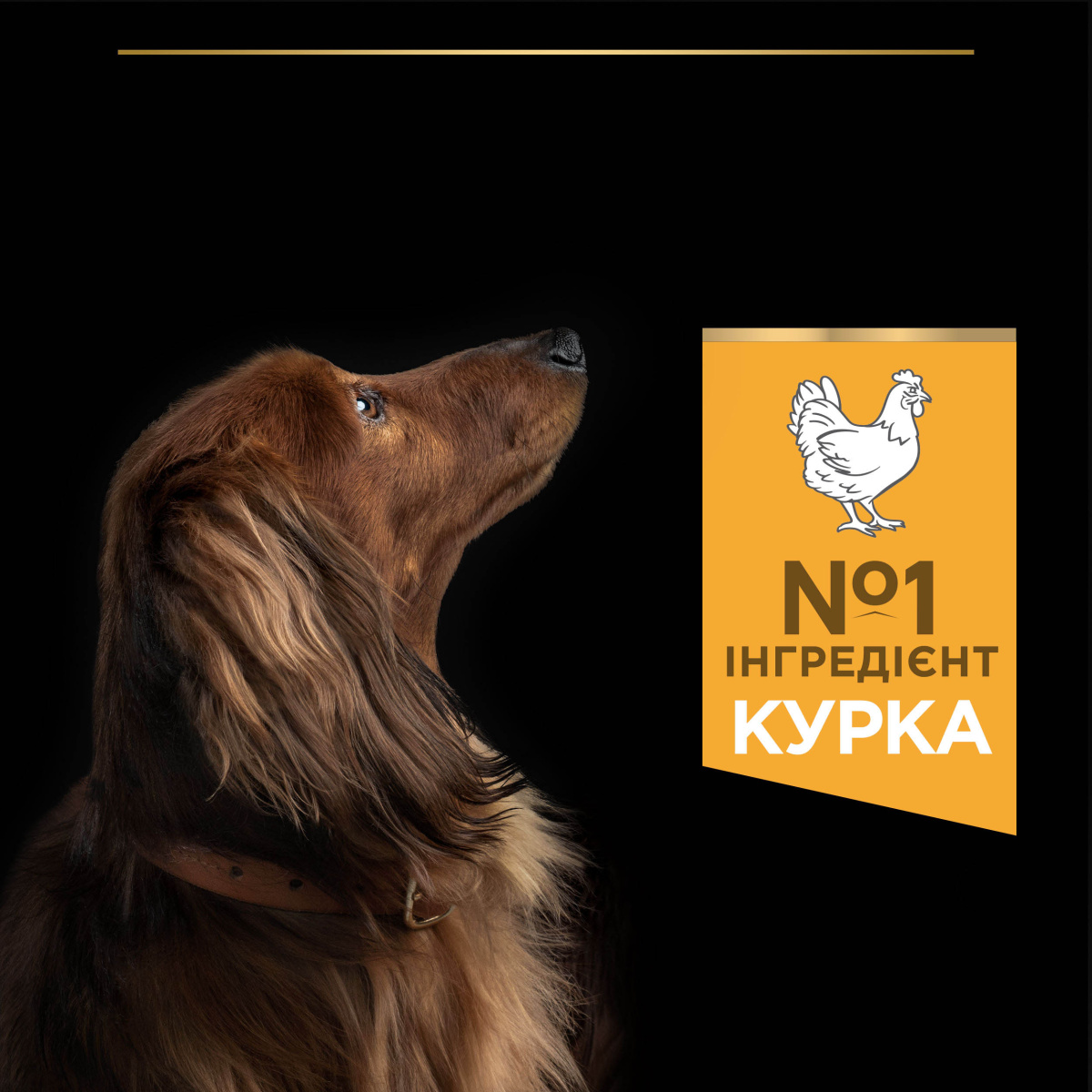 Сухий корм для собак маленьких порід з Куркою Purina Pro Plan Small & Mini Adult 1+ Everyday Nutrion Chicken