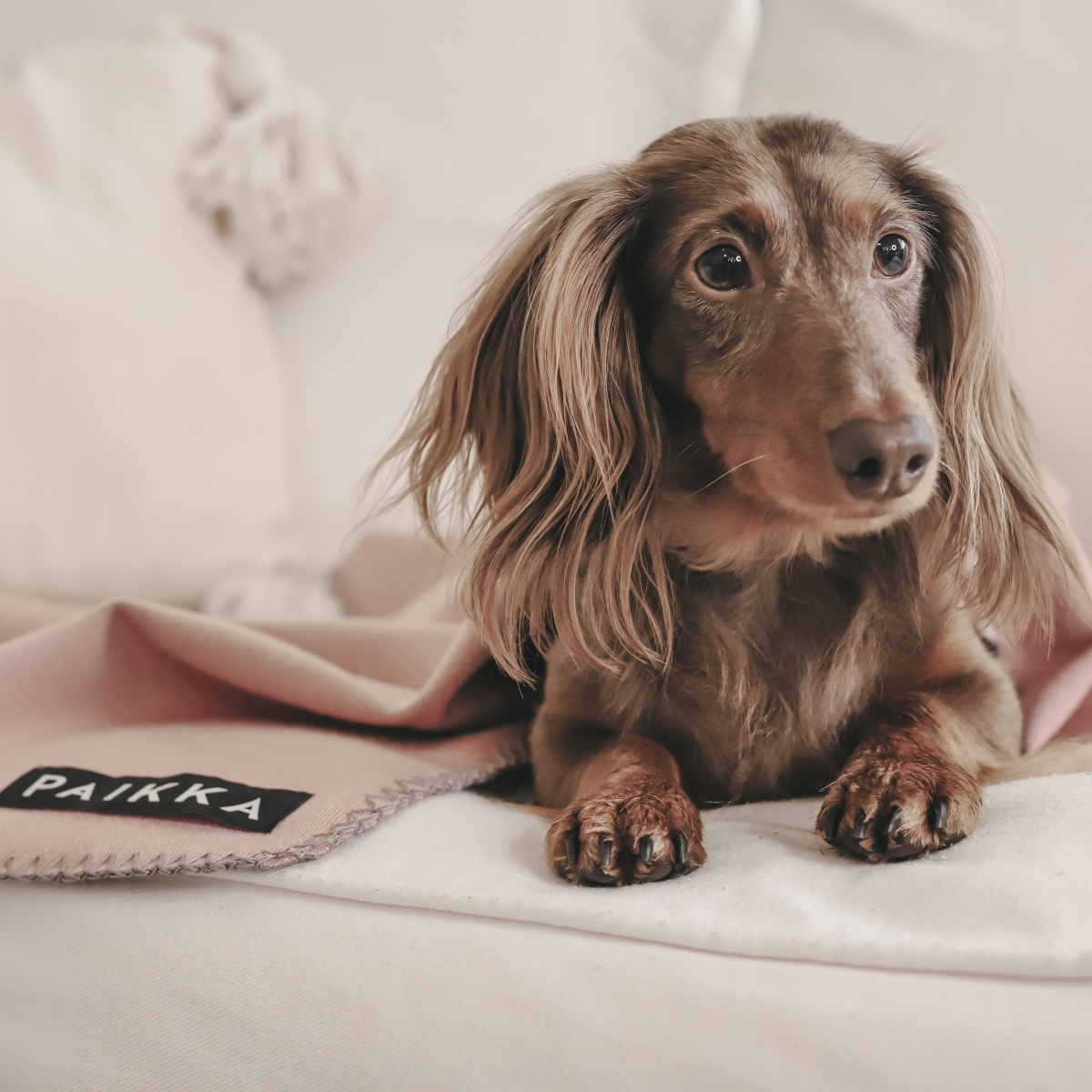Восстанавливающее розовое FIR-одеяло с дорожной сумкой для собак PAIKKA Recovery Blanket Pink Восстанавливающее розовое FIR-одеяло с дорожной сумкой для собак PAIKKA Recovery Blanket Pink