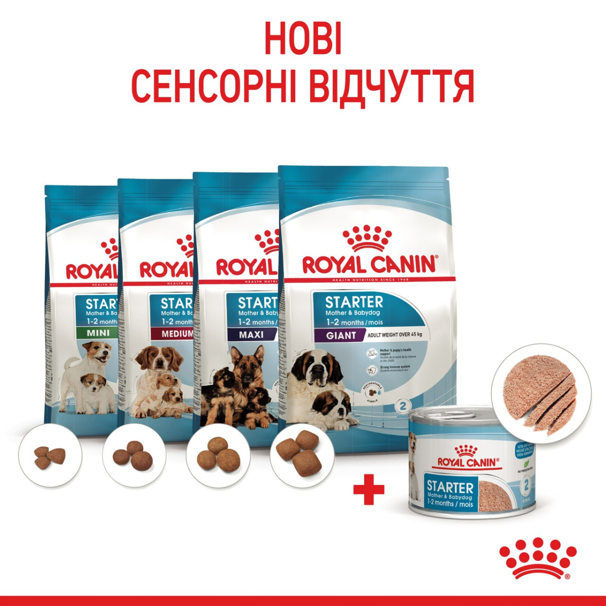 Консерва-мус для цуценят віком до 2 місяців та годуючих собак Royal Canin Starter Mother & Babydog Mousse Консерва-мус для цуценят віком до 2 місяців та годуючих собак Royal Canin Starter Mother & Babydog Mousse