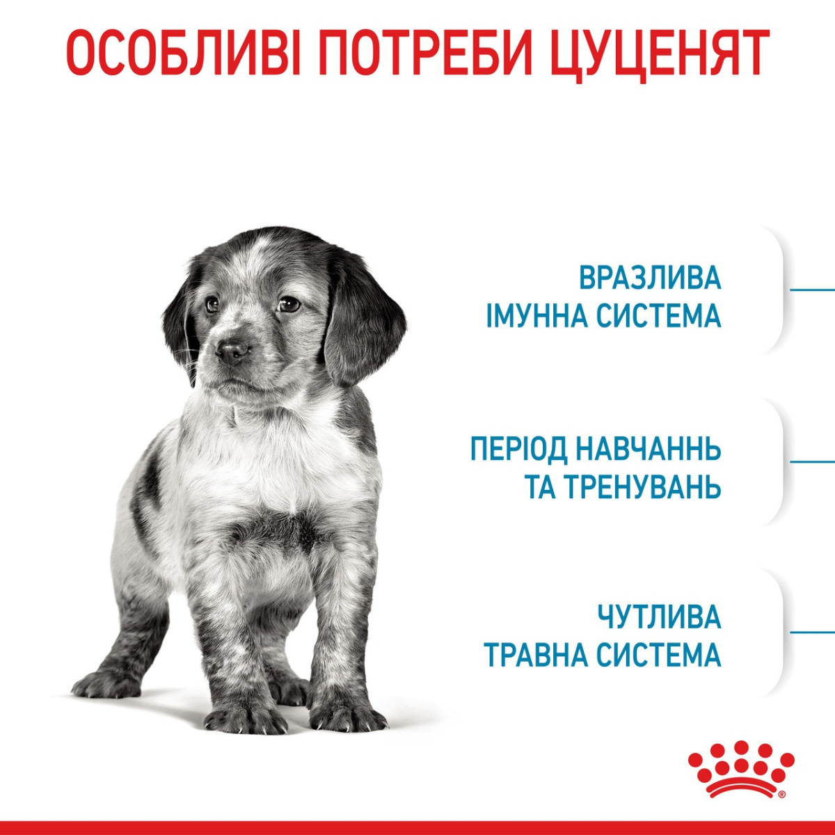 Сухой корм для щенков средних пород в возрасте от 2 до 12 месяцев Royal Canin Medium Puppy