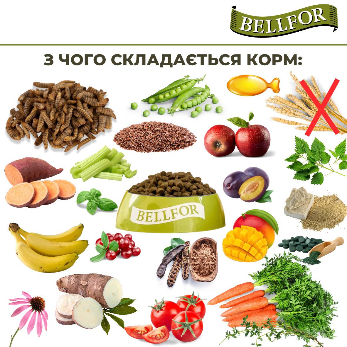 Беззерновой сухой корм холистик с белком насекомых для собак маленьких пород Bellfor Insect Landgut Schmaus Hypoallergenic Mini
