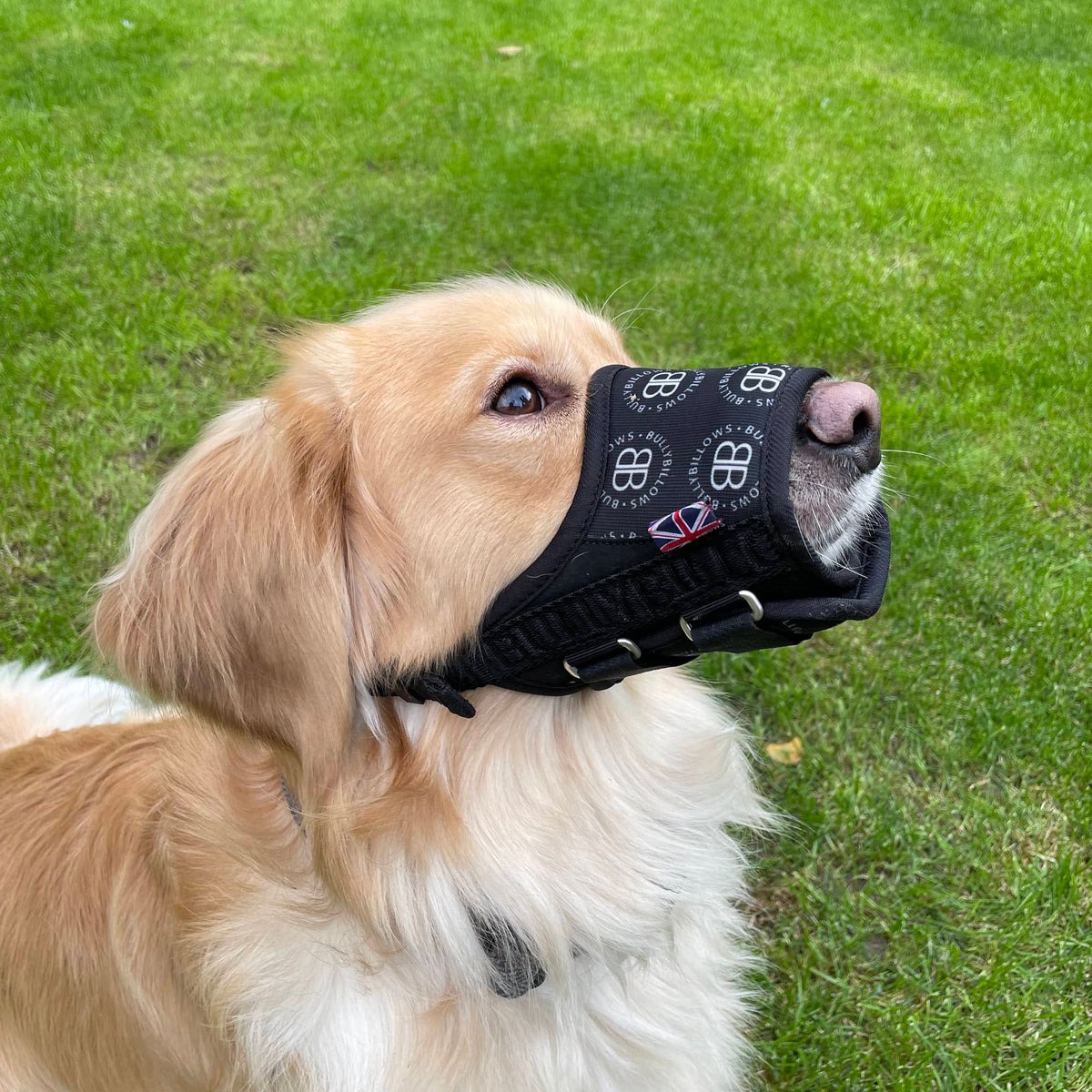 Регулируемый тканевый ветеринарный намордник для собак BullyBillows Fabric Safety-Emergency Muzzle Регулируемый тканевый ветеринарный намордник для собак BullyBillows Fabric Safety-Emergency Muzzle