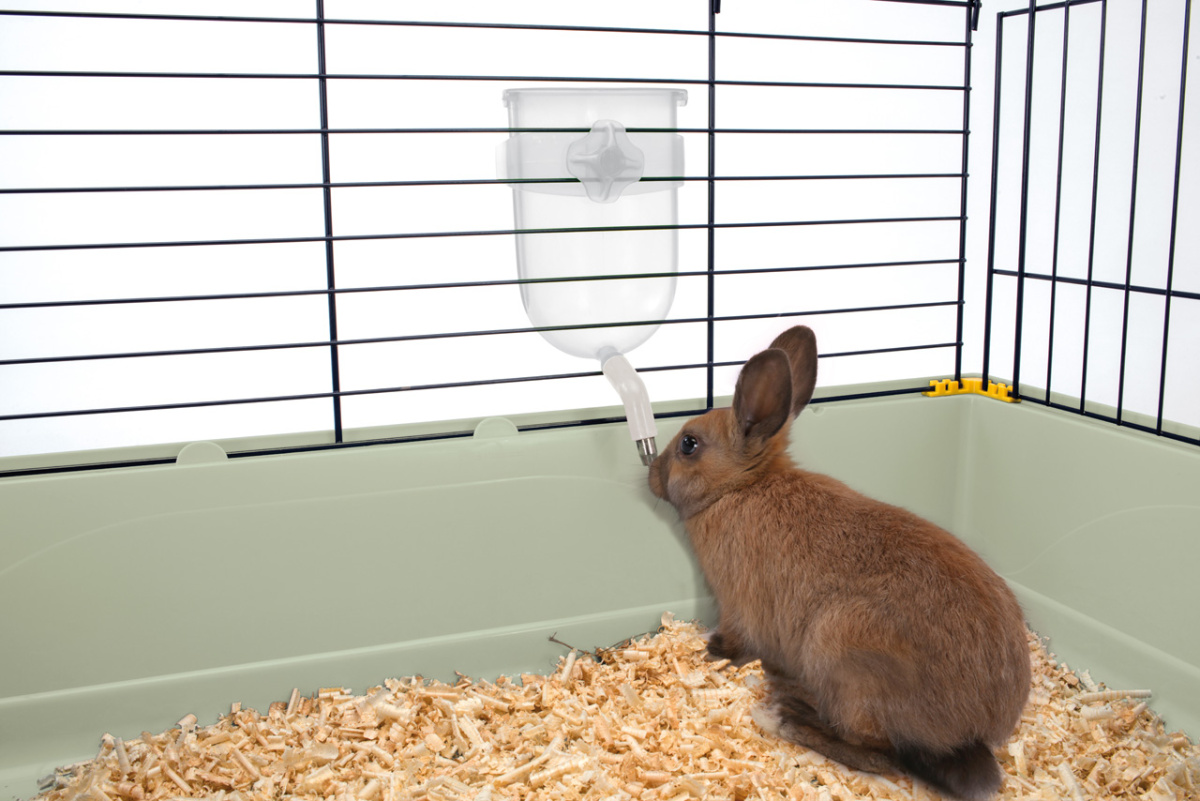 Двоповерхова клітина для кролика з терасою, мискою та напувалкою Imac Benny 100