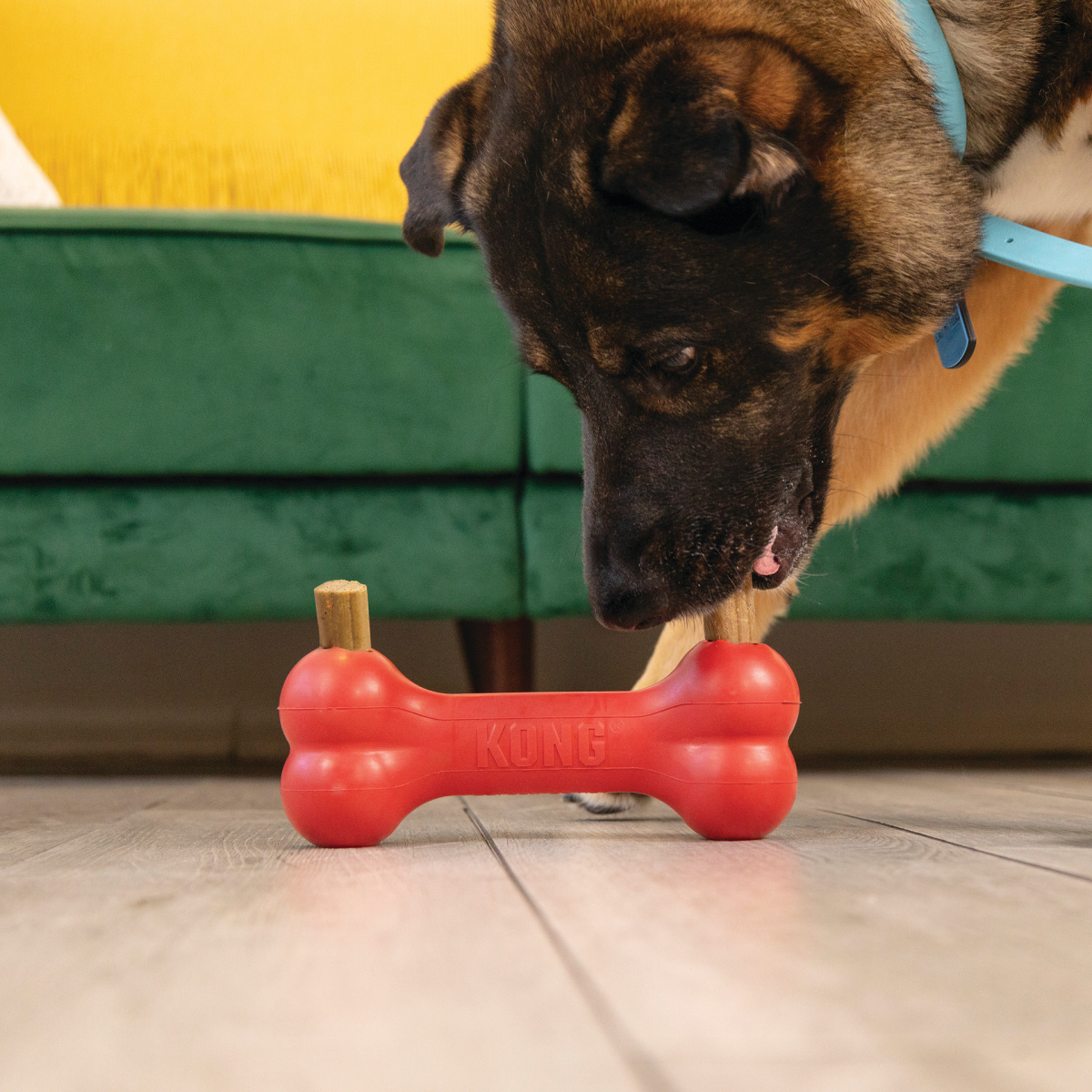 Ласощі для чистки зубів собак Жувальні Палички KONG Ziggies Enhanced