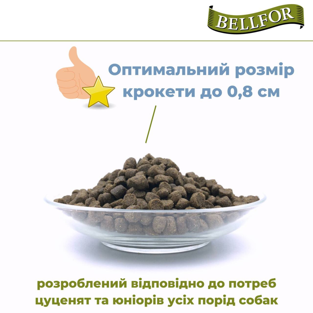 Беззерновий сухий корм холістик на основі білка комах для цуценят Веllfor Insect Landgut Schmaus Hypoallergenic Junior