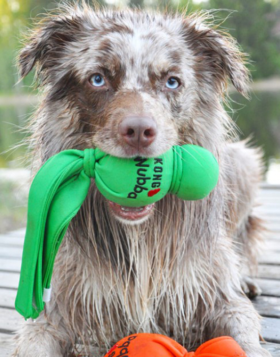 Игрушка для собак Плавающая Вубба KONG Wubba Wet