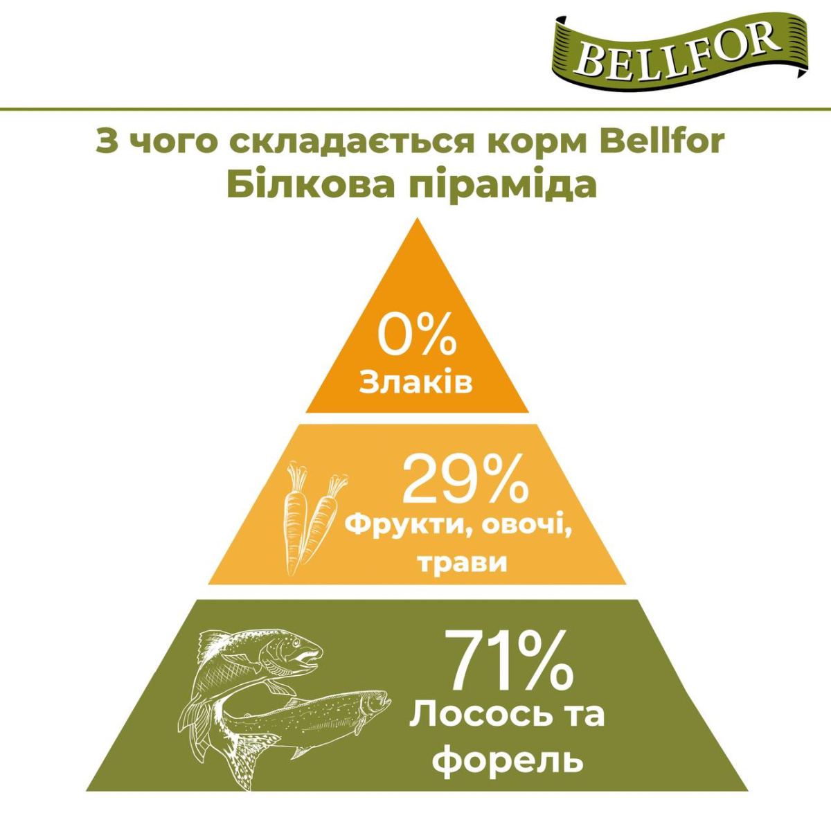 Беззерновой сухой гипоаллергенный корм холистик с лососем и форелью для взрослых собак Bellfor Wildbach Schmaus