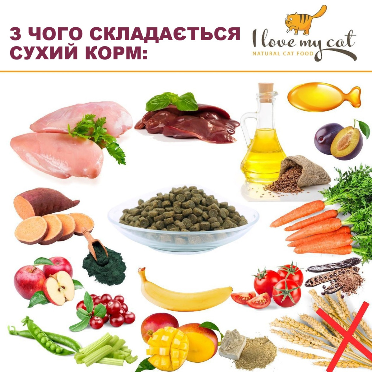 Беззерновой монопротеиновый сухой корм холистик с курицей для котов I Love my cat Chicken