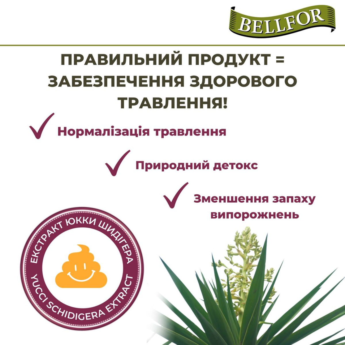 Беззерновой сухой корм холистик с белком насекомых для собак маленьких пород Bellfor Insect Landgut Schmaus Hypoallergenic Mini