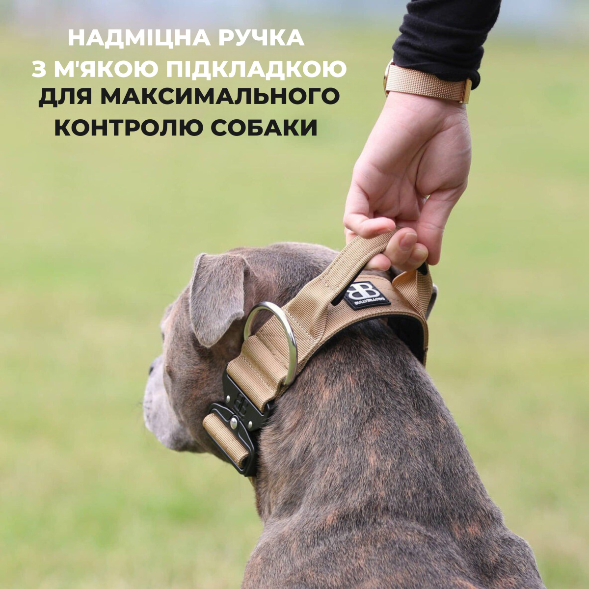 Полегшений тактичний нашийник з ривковим замком для собак BullyBillows Lighter Combat Collar Handle 4 cm