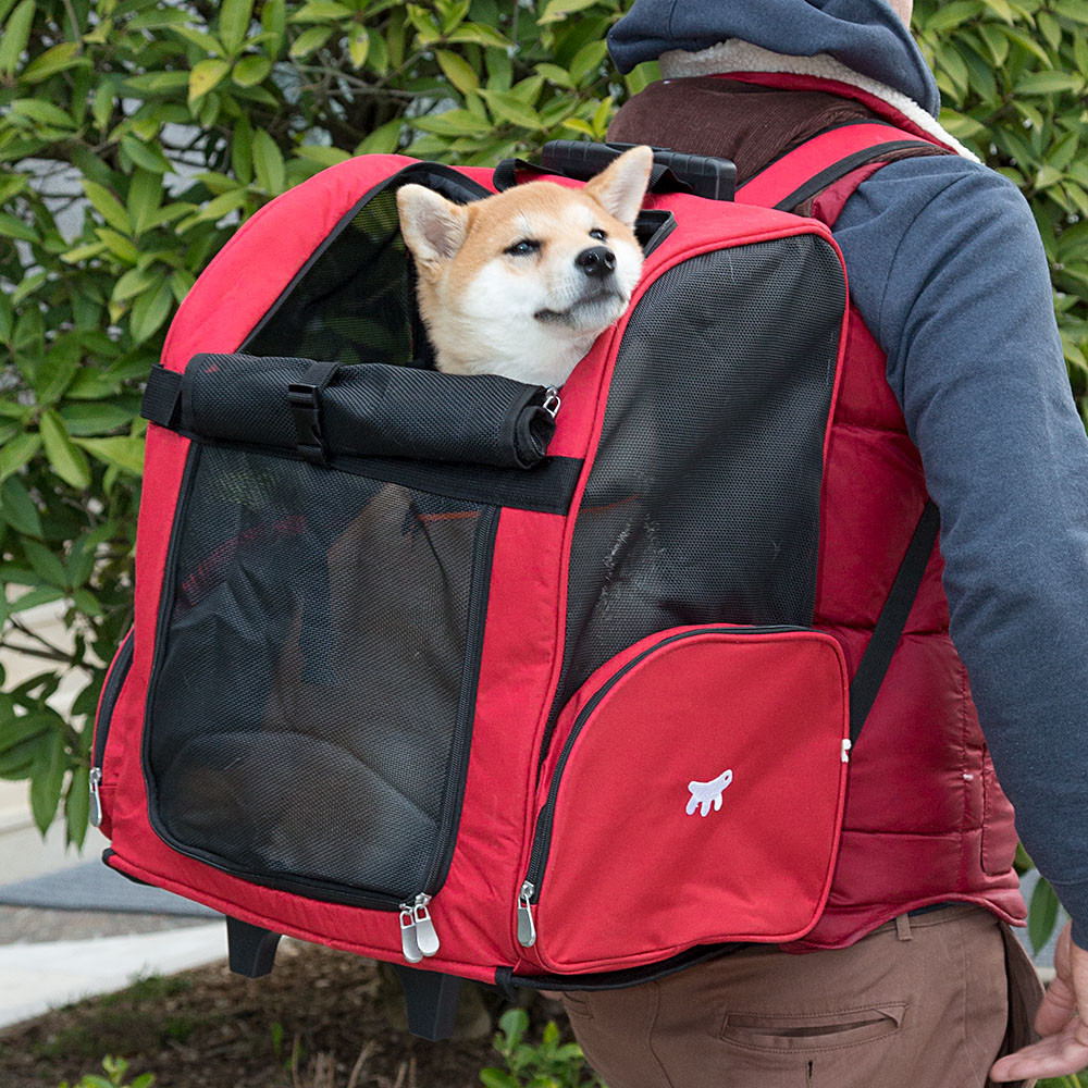 Дорожный рюкзак-тележка Трансформер для собак и крупных котов весом до 12 кг Trolley 2 in 1 Ferplast