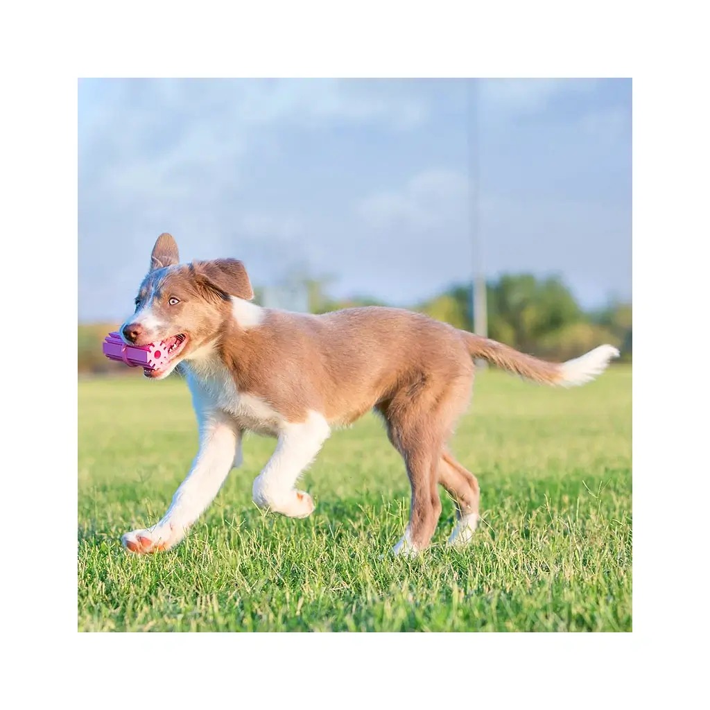 KONG Puppy Teething Stick Жевательная игрушка для щенков Палочка для прорезывания зубов