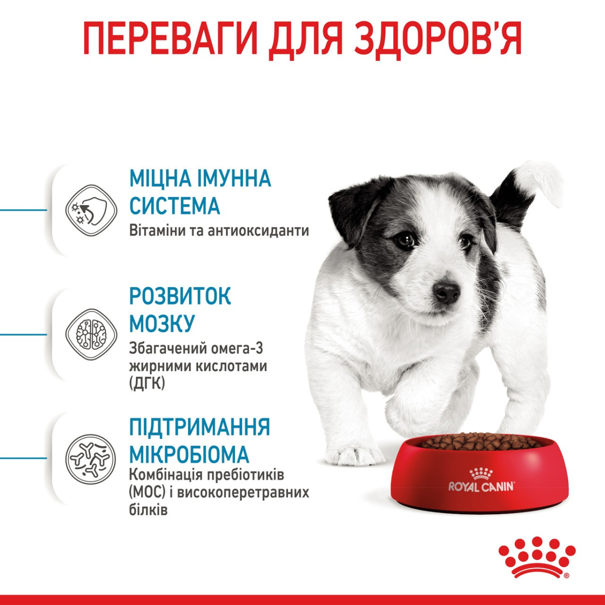 Сухой корм для щенков маленьких пород в возрасте от 2 до 10 месяцев Royal Canin Mini Puppy