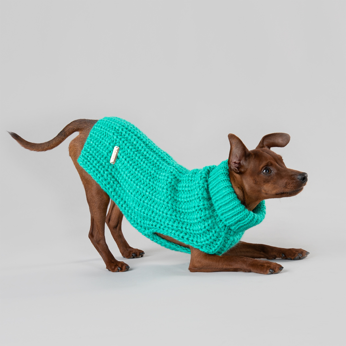 Вязаный зеленый свитер ручной работы из овечьей шерсти для собак PAIKKA Knit Sweater Green Вязаный зеленый свитер ручной работы из овечьей шерсти для собак PAIKKA Knit Sweater Green
