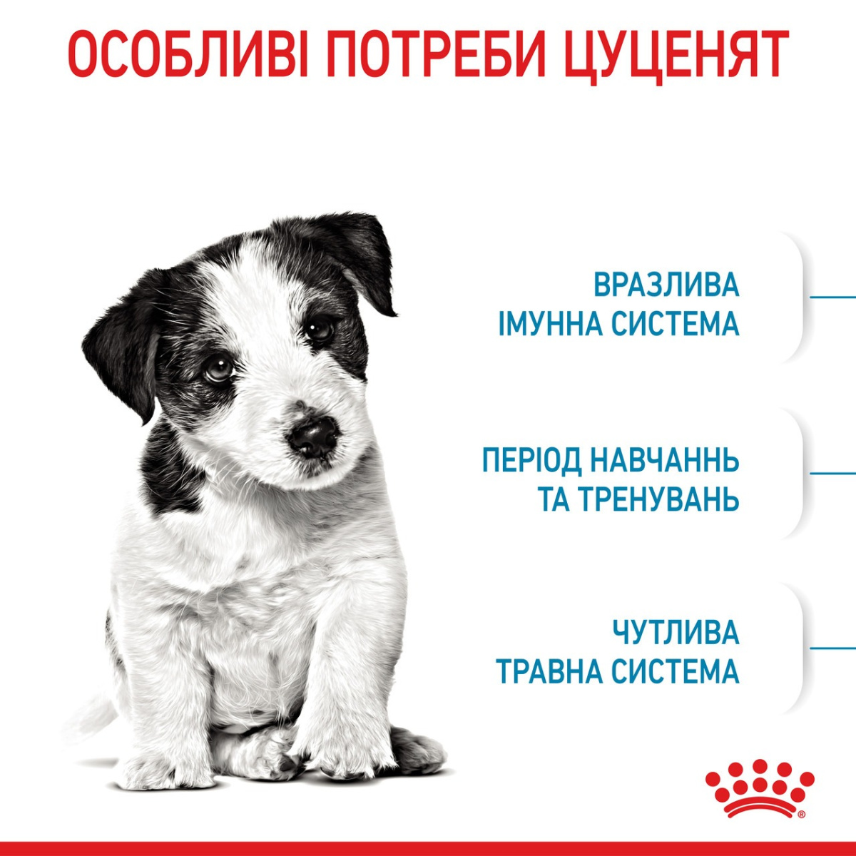Сухой корм для щенков маленьких пород в возрасте от 2 до 10 месяцев Royal Canin Mini Puppy