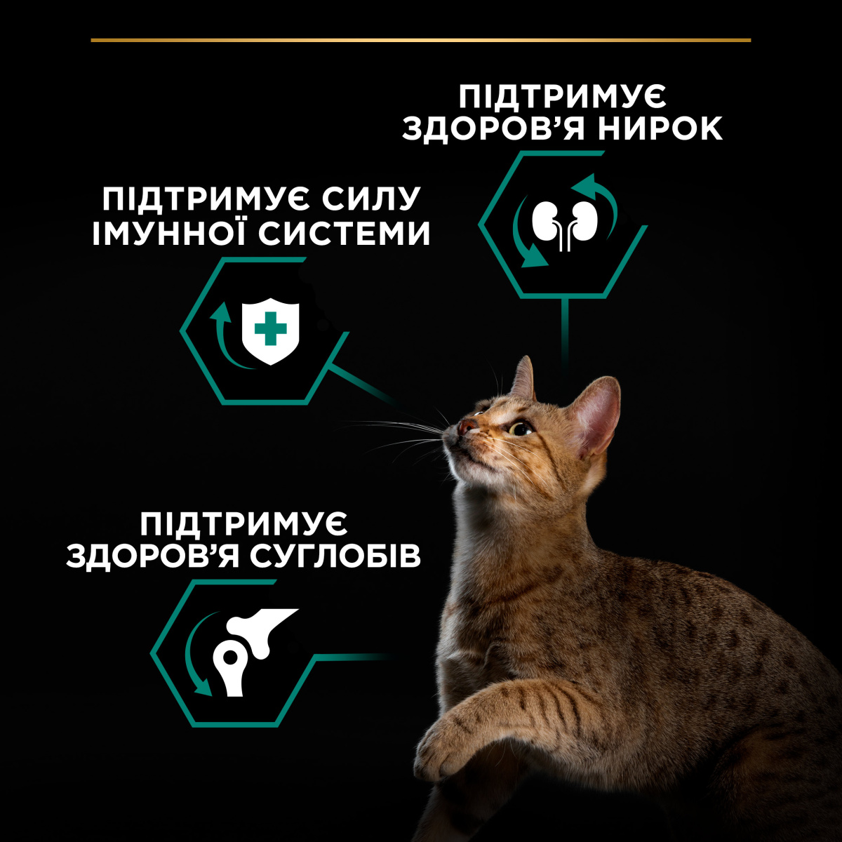 Сухий корм з куркою для підтримки здоров'я нирок дорослих котів Purina Pro Plan Renal Plus Adult 1+ Chicken