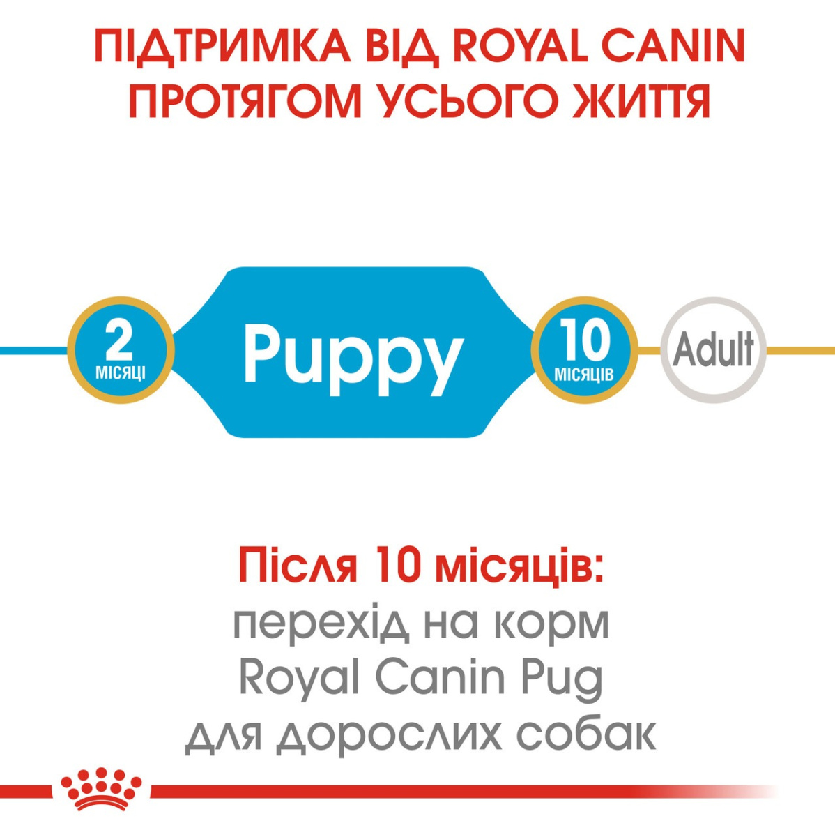 Сухой корм для щенков породы Мопс в возрасте до 10 месяцев Royal Canin Pug Puppy  