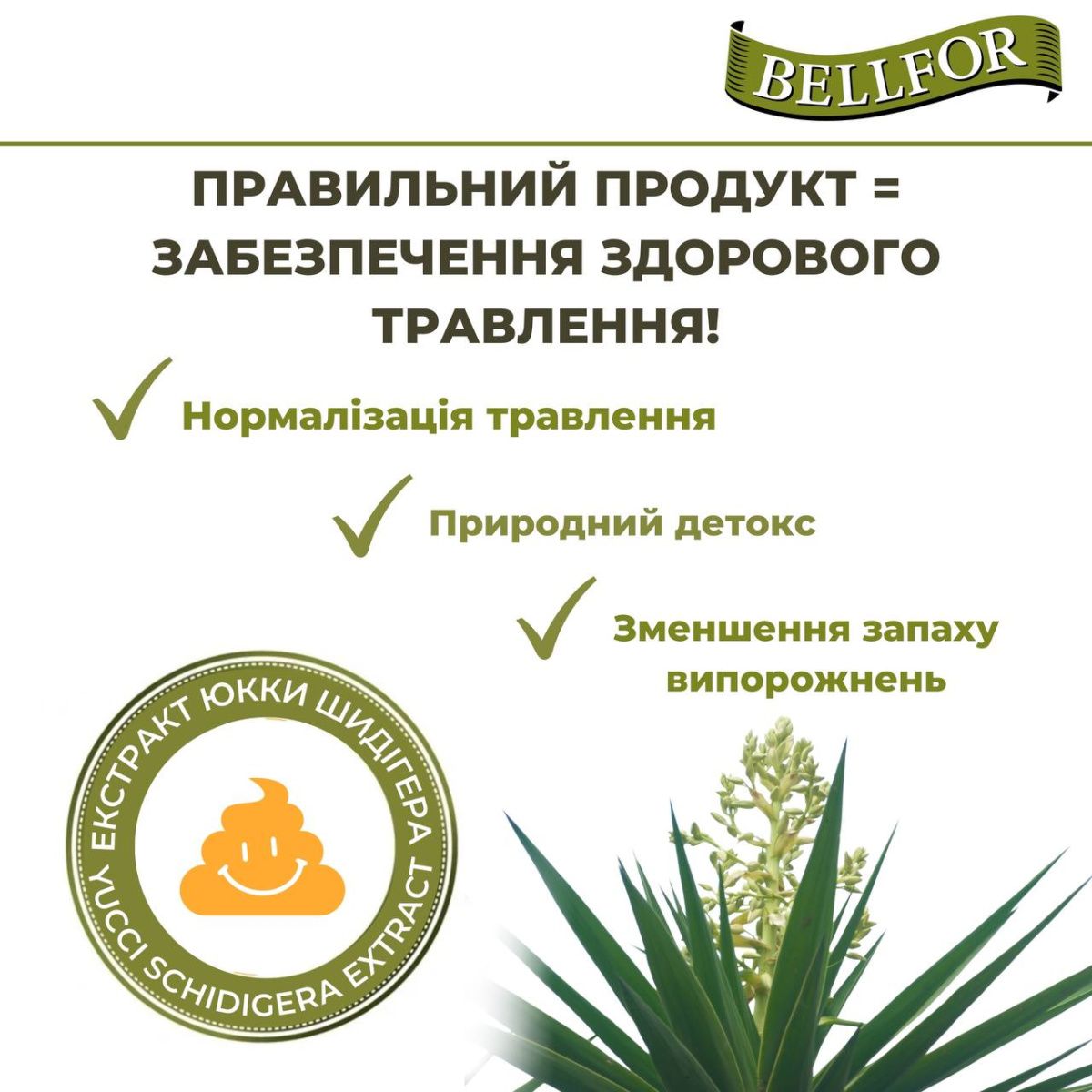 Беззерновий поживний сухий корм холістик з м'ясом курки, індички та качки для собак Bellfor Gutshof Schmaus Беззерновий поживний сухий корм холістик з м'ясом курки, індички та качки для собак Bellfor Gutshof Schmaus