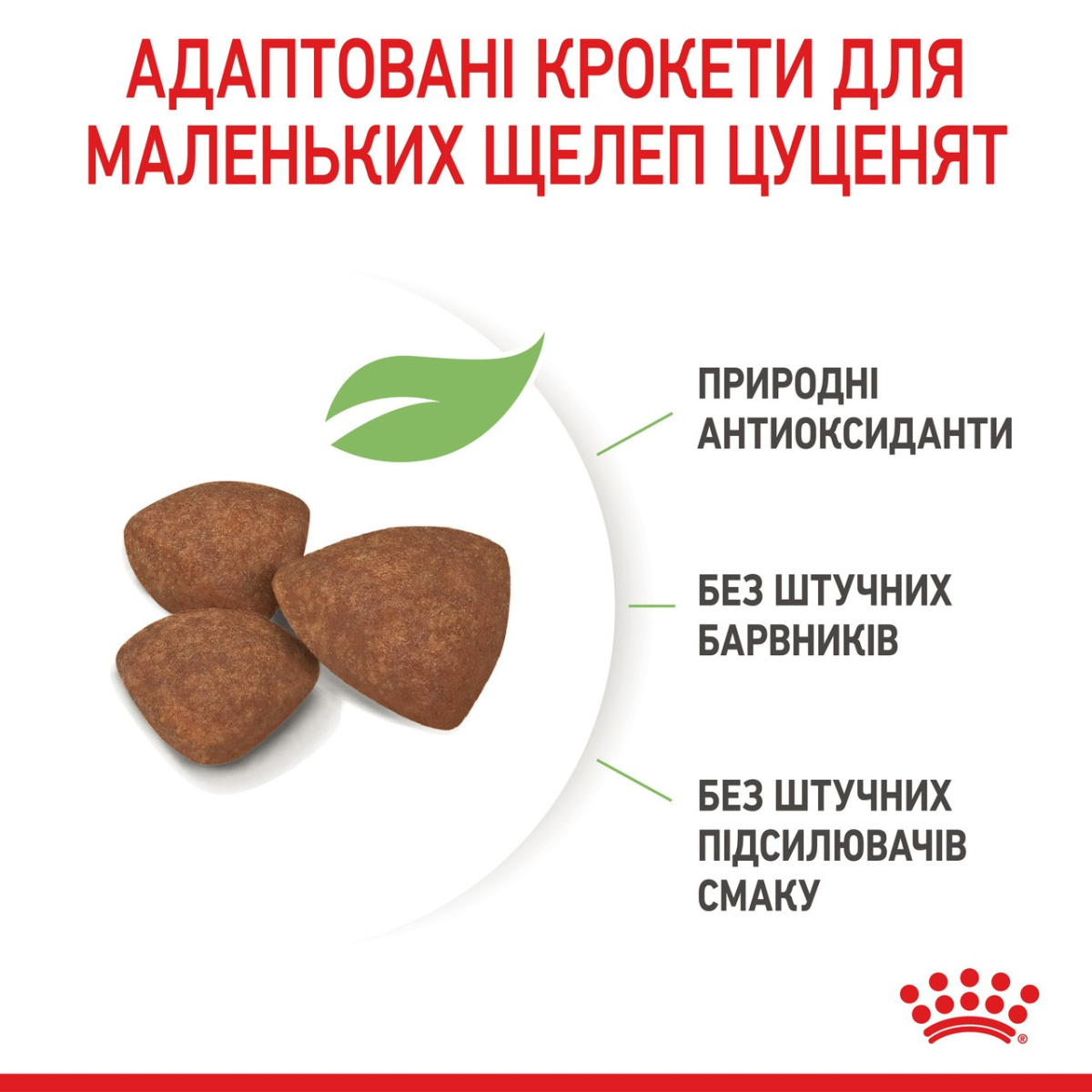 Сухой корм для щенков маленьких пород в возрасте от 2 до 10 месяцев Royal Canin Mini Puppy