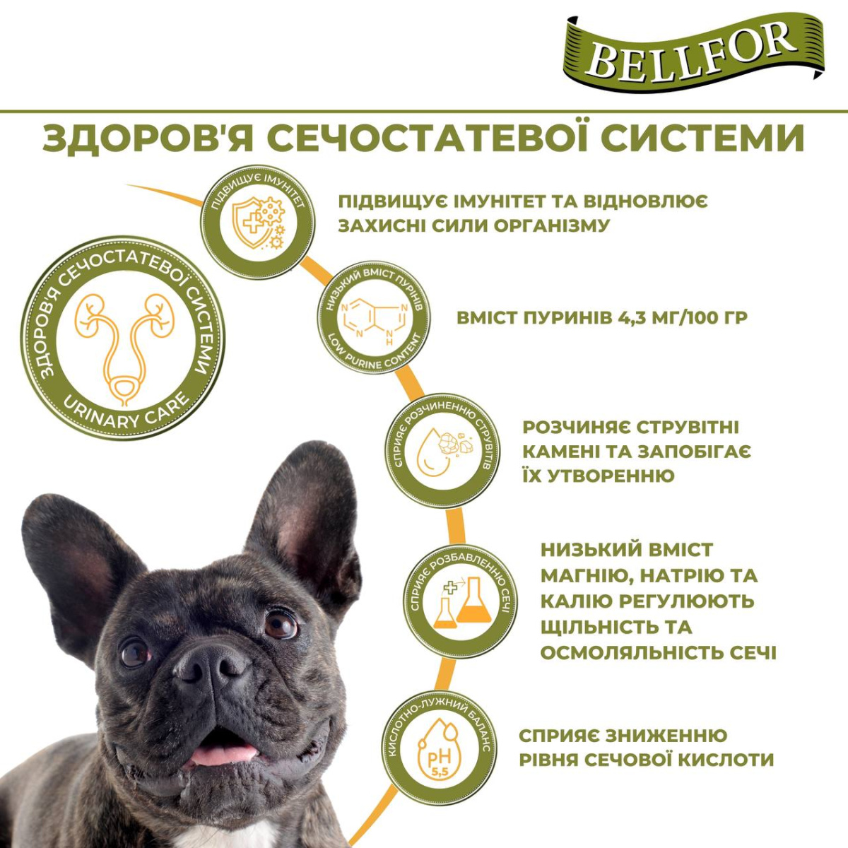 Гіпоалергенна беззернова консерва для собак з білком комах та чорницею Bellfor Naturfarm-Menu Insect Гіпоалергенна беззернова консерва для собак з білком комах та чорницею Bellfor Naturfarm-Menu Insect