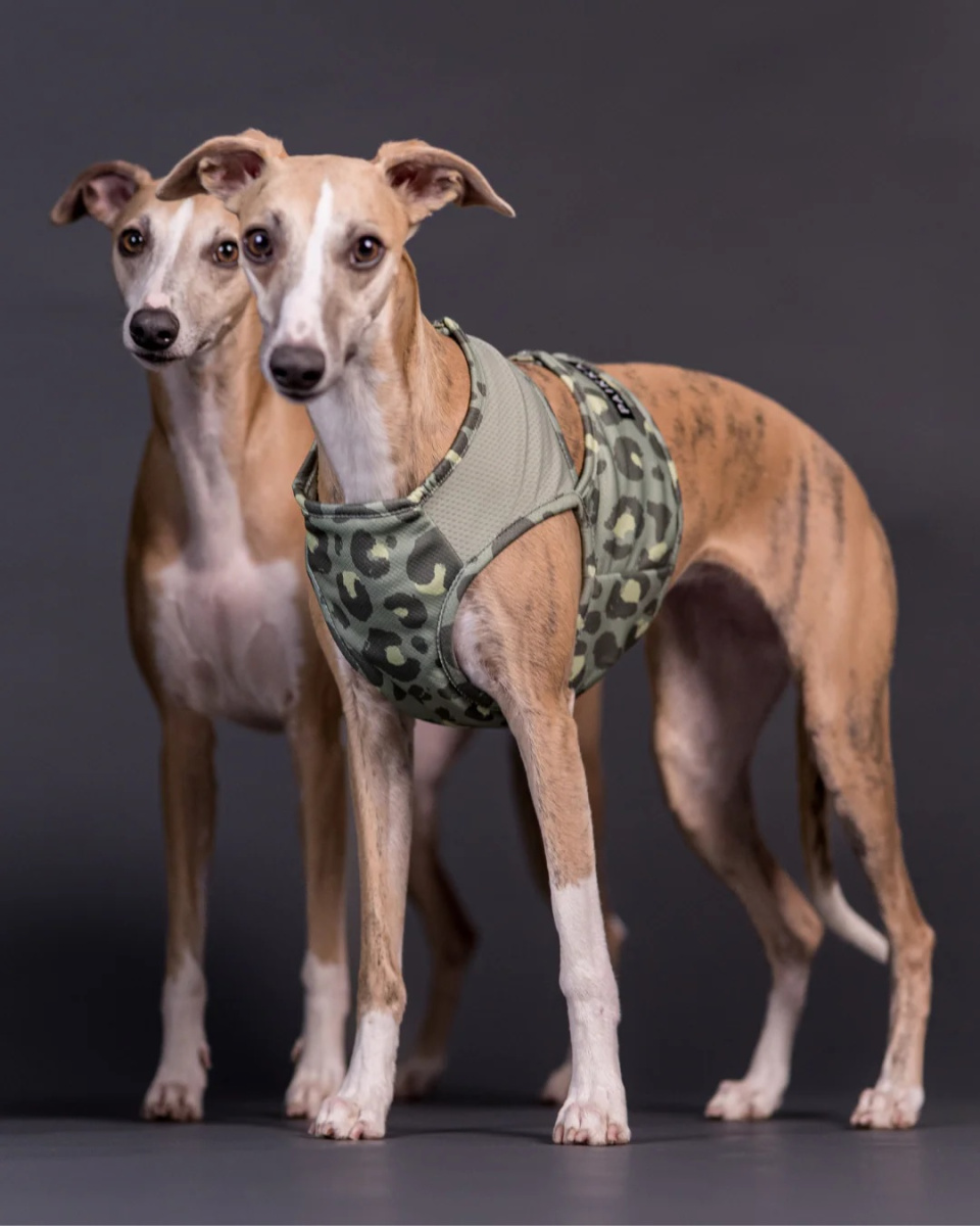 Охолоджуючий жилет для собак PAIKKA Cool Vest Green Leo