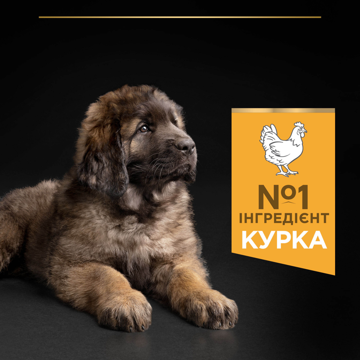 Сухий корм для здорового розвитку цуценят великих порід з Куркою Purina Pro Plan Large Robust Puppy Healthy Start Chicken