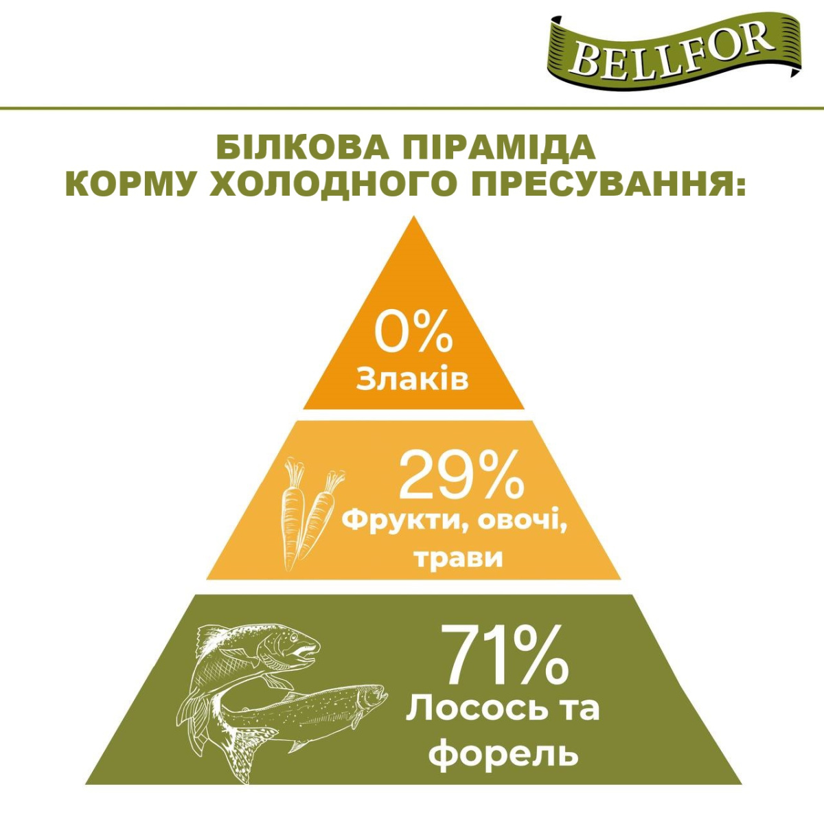 Беззерновой сухой корм для собак холистик холодного прессования с лососем и форелью Bellfor Forstbach-Schmaus