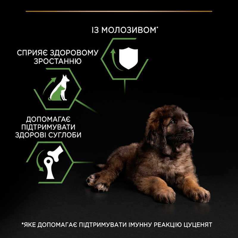 Сухой корм с курицей для здорового развития щенков крупных пород Purina Pro Plan Large Robust Healthy Start Puppy Chicken