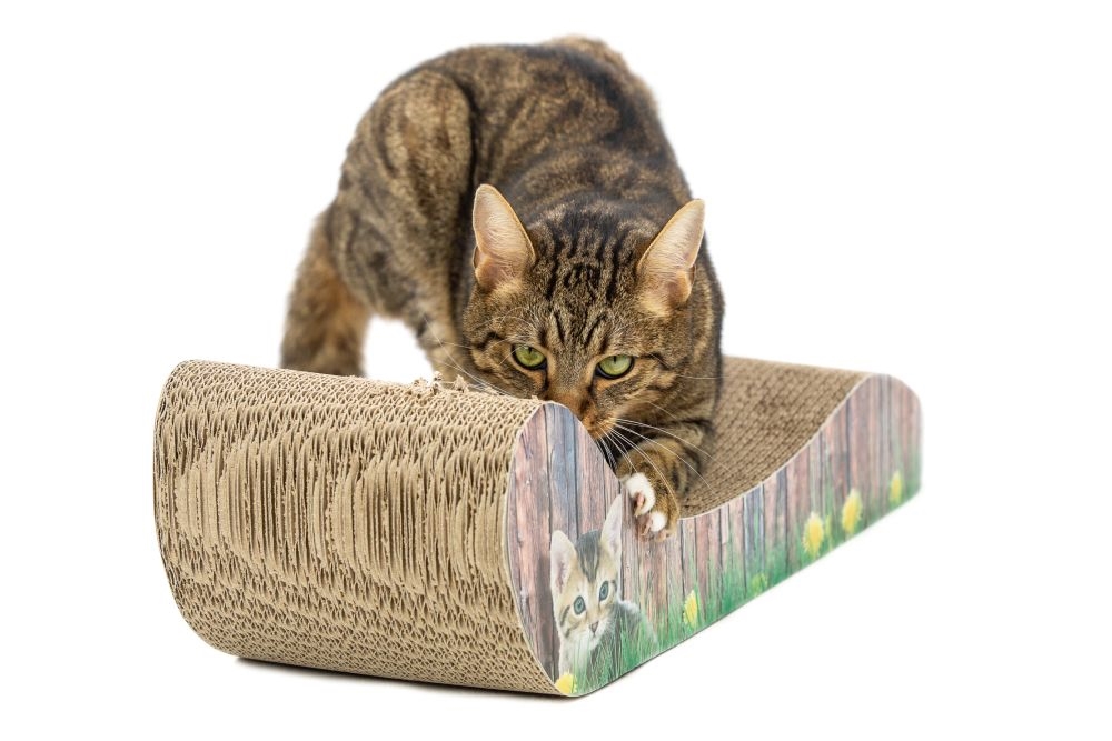 Картонна кігтеточка-дряпка з котячою м'ятою для кішок Lounge Catnip Carton Nobby