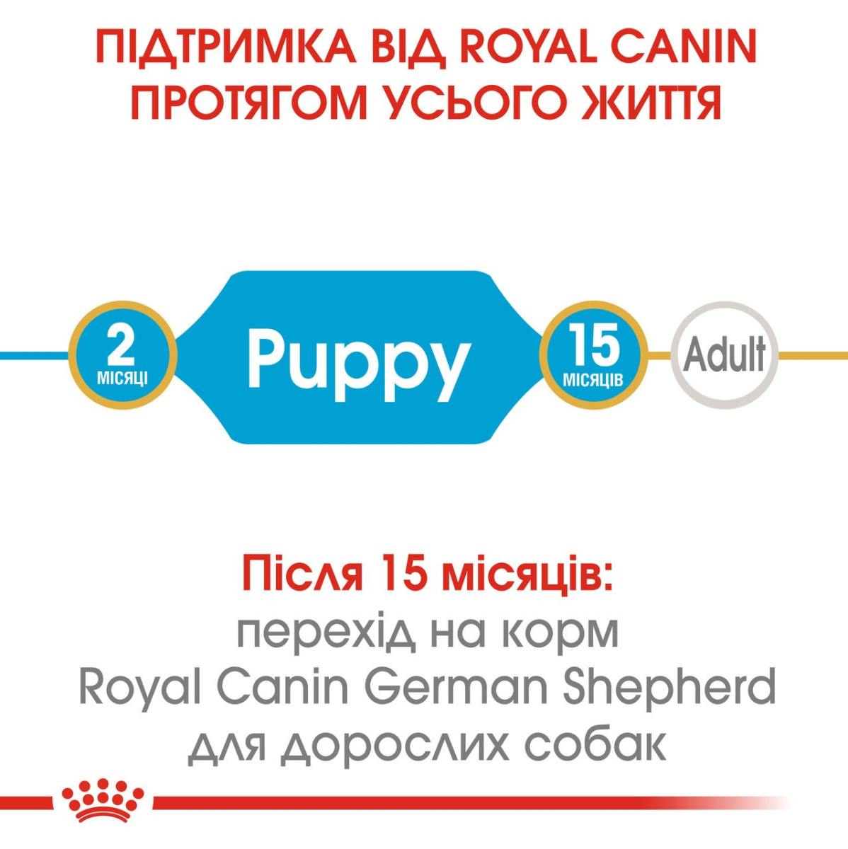 Сухий корм для цуценят породи Німецька Вівчарка віком до 15 місяців Royal Canin German Shepherd Puppy