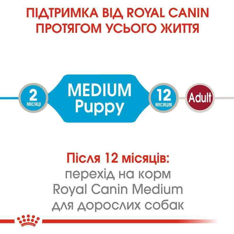 Вологий корм у соусі для цуценят середніх порід віком від 2 до 12 місяців Royal Canin Medium Puppy