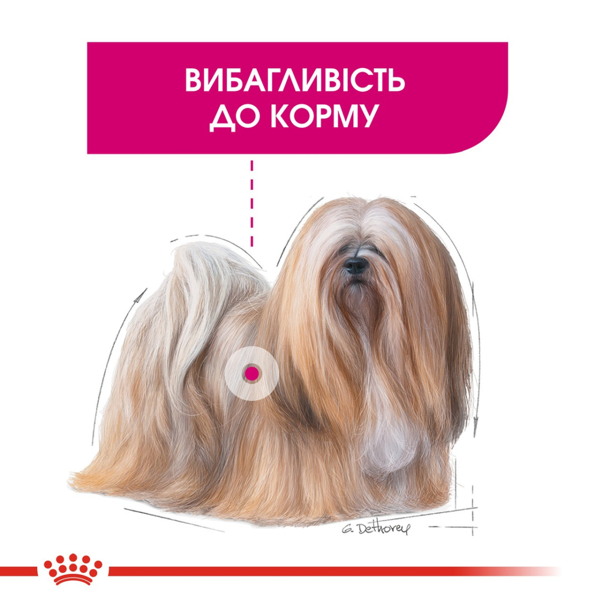 Сухий корм для собак маленьких порід вибагливих у харчуванні Royal Canin Mini Exigent Adult