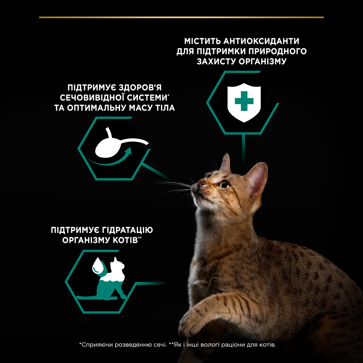 Вологий корм для стерилізованих кішок Шматочки курки у підливці Purina Pro Plan Sterilised Adult Maintenance Chicken Вологий корм для стерилізованих кішок Шматочки курки у підливці Purina Pro Plan Sterilised Adult Maintenance Chicken
