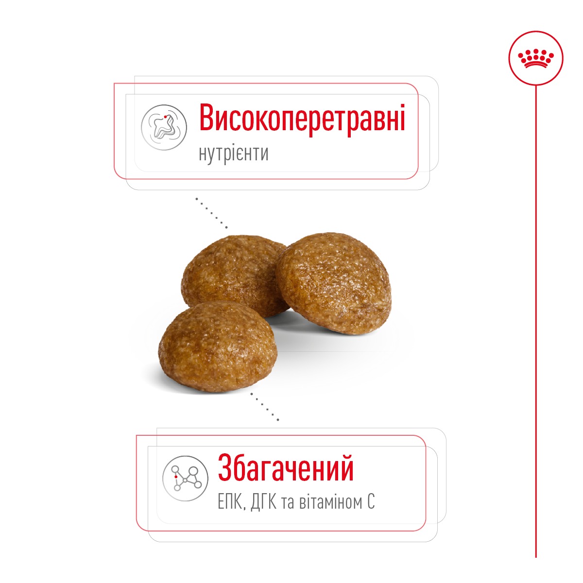 Сухой корм для собак миниатюрных пород в возрасте от 10 месяцев до 8 лет Royal Canin X-Small Adult Сухой корм для собак миниатюрных пород в возрасте от 10 месяцев до 8 лет Royal Canin X-Small Adult