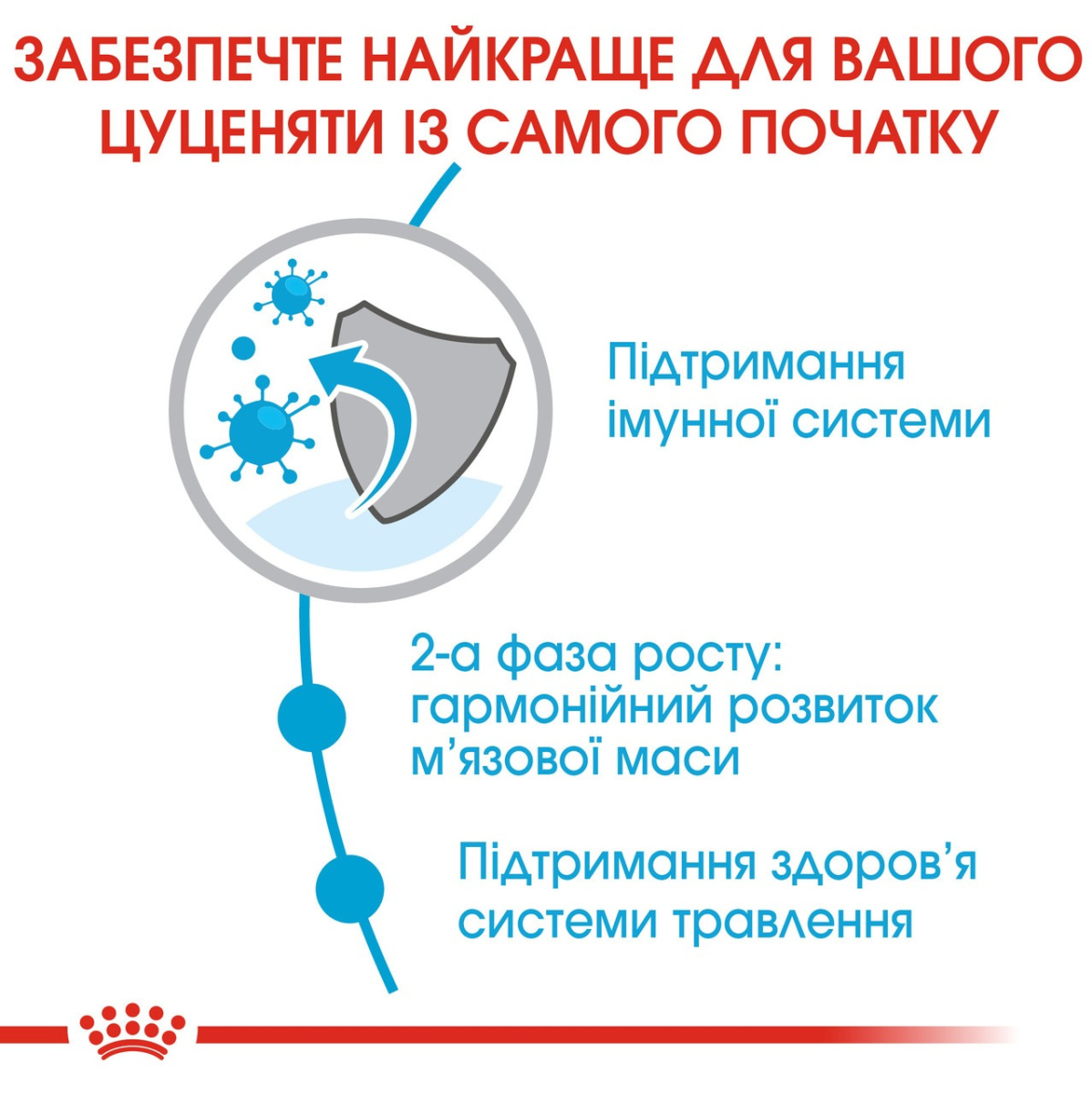 Сухий корм для цуценят та юніорів гігантських порід віком від 8 до 24 місяців Royal Canin Giant Junior