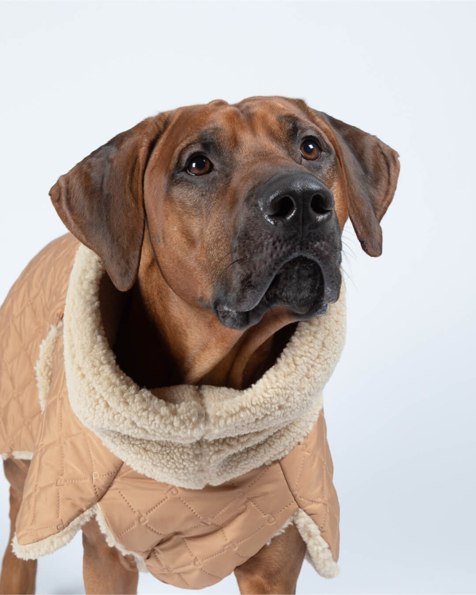 Зимняя куртка для собак на Sherpa-подкладке PAIKKA Quilted Sherpa Jacket Camel